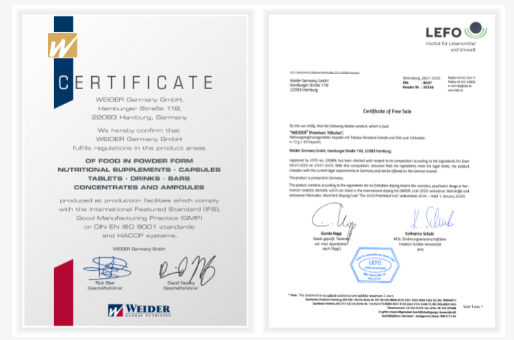 obraz_2025-01-05_100751622.png