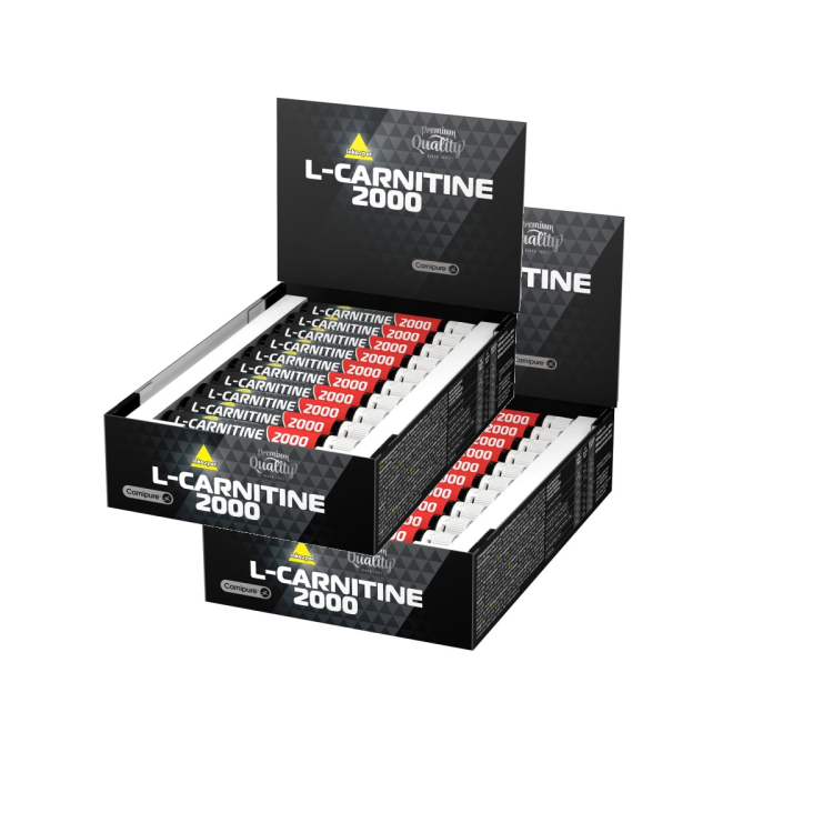 l_carnitine 2000 2 opakowania